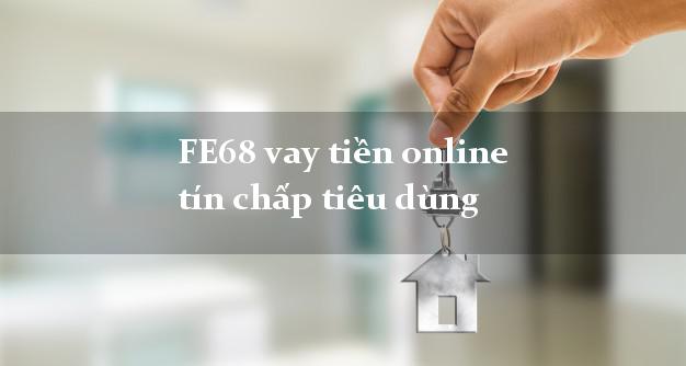 FE68 vay tiền online tín chấp tiêu dùng