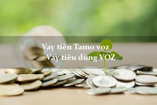 Vay tiền Tamo voz - Vay tiêu dùng VOZ
