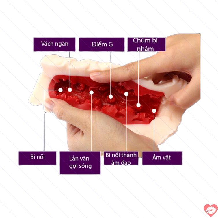 Âm đạo giả Leten ruột 3D đỏ chân thực 