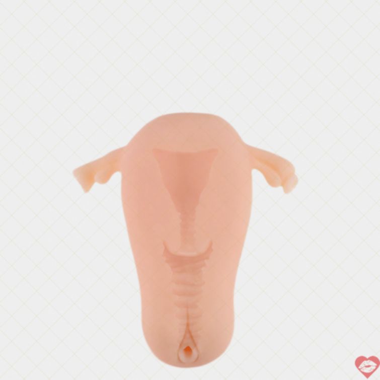 Âm đạo giả silicon chân thật cực khoái 