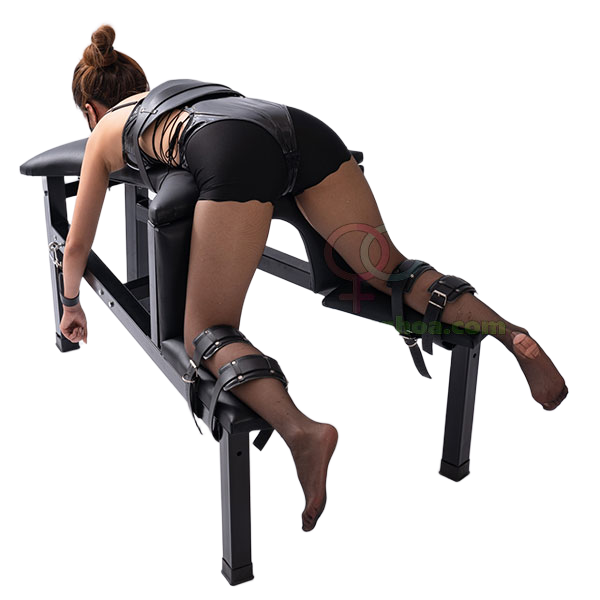  Đại lý Ghế bạo dâm hỗ trợ ta tấn cố định bạn tình GSM044 16  nhập khẩu 