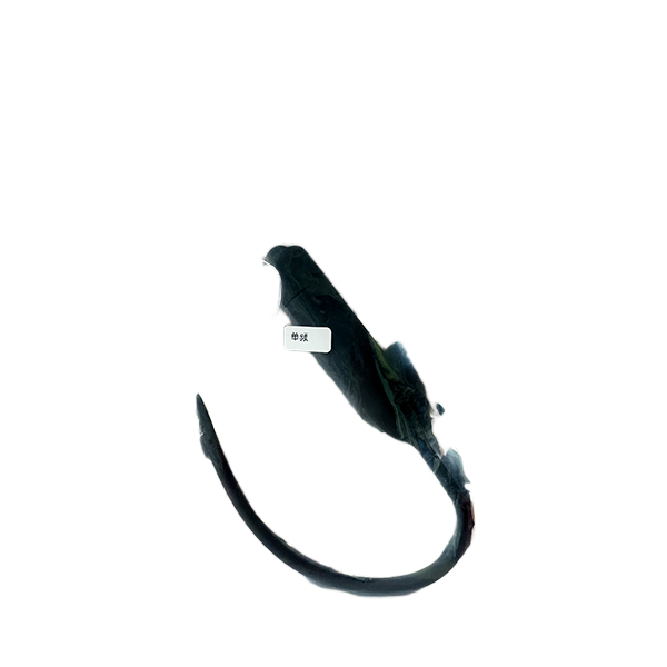  Mua Thanh rung kích thích lỗ tiểu cho nam siêu sướng  hàng xách tay 