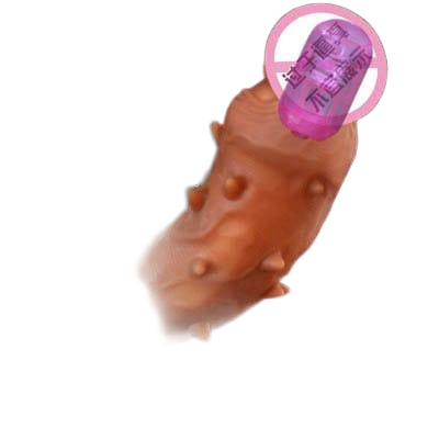  Đánh giá Bao cao su Donden Wish Ebay gai toàn thân rung đầu  loại tốt 