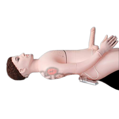  Phân phối Búp Bê Tình Dục Bơm Hơi – Người Mẫu Nam  giá sỉ 