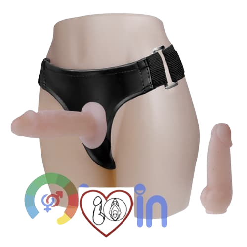  Nhập sỉ Dương Vật Giả Dây Đeo Cho Les Baile Jessica Strap On Giải Pháp Hoàn Hảo Cho Cuộc Yêu Thăng Hoa  giá sỉ 