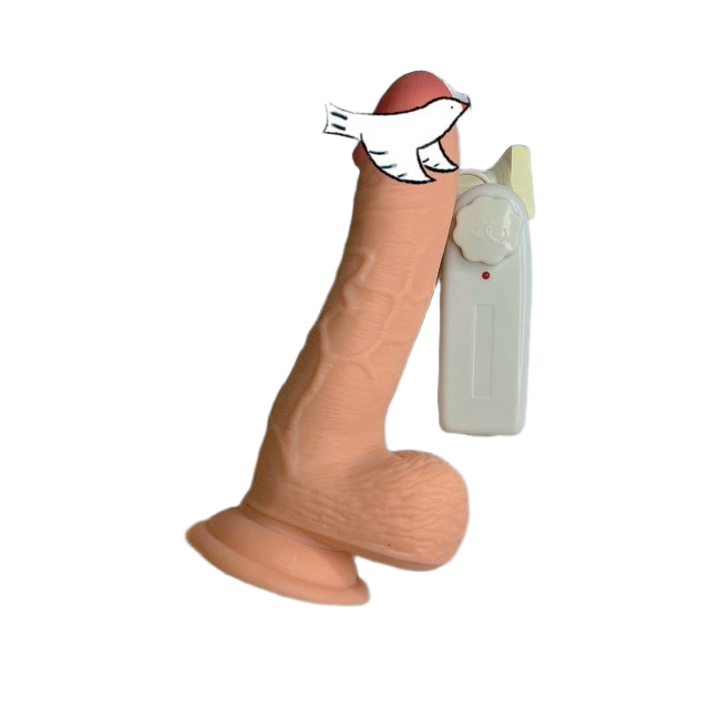  Đại lý Dương vật giả gắn tường siêu mềm có rung  có tốt không? 