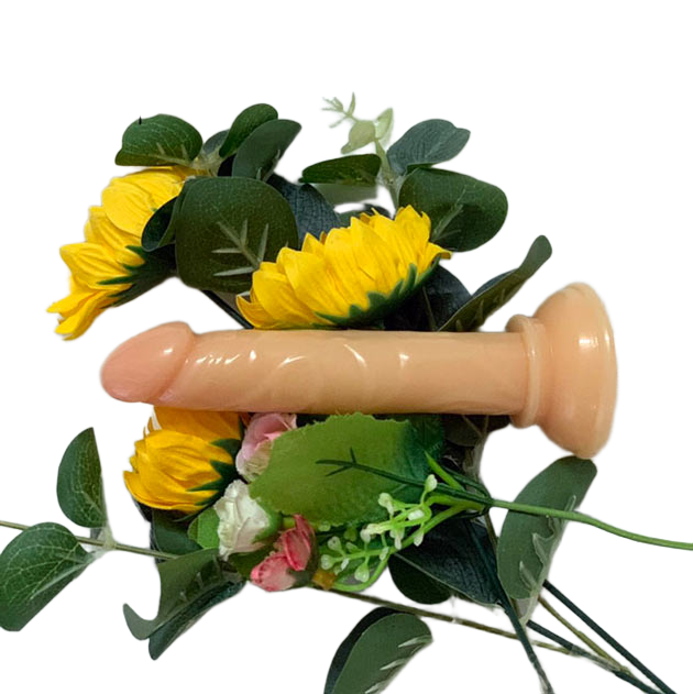  Shop bán Dương vật hít đất siêu nhỏ- Mini Traveller  hàng mới về 