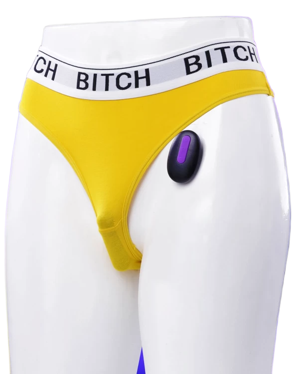  Nơi bán Lovetoy Bitch quần chíp rung điều khiển từ xa mọi lúc mọi nơi  giá tốt 