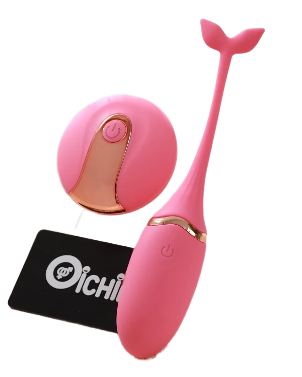 Cung cấp Cá heo 10 chế độ điều khiển từ xa không dây  tốt nhất 