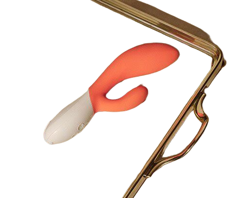  So sánh Dụng cụ massage điểm G và âm vật Lelo Ina 3  loại tốt 